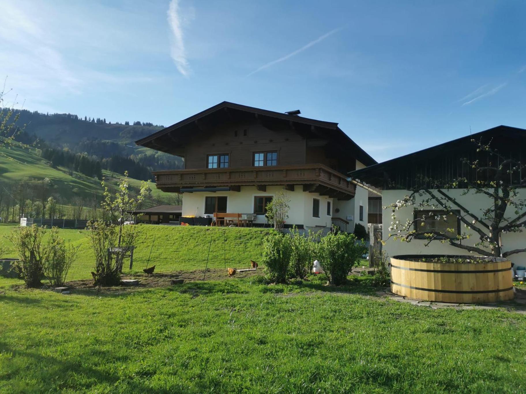 Ferienwohnung Eder Hochfilzen Ngoại thất bức ảnh